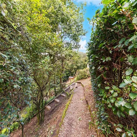 Forest Retreat In *